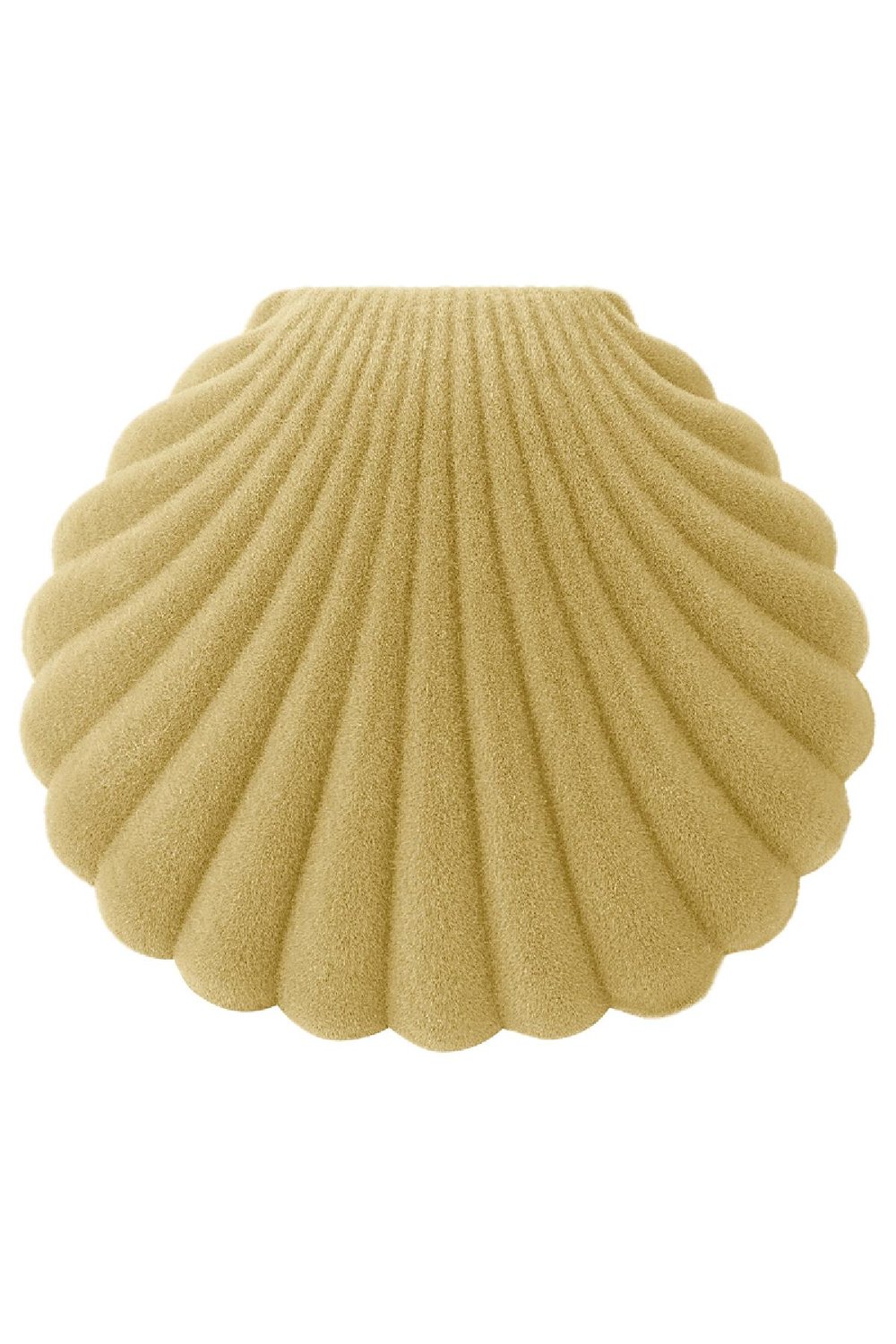 Shell Jewelry Box White h5Picture2