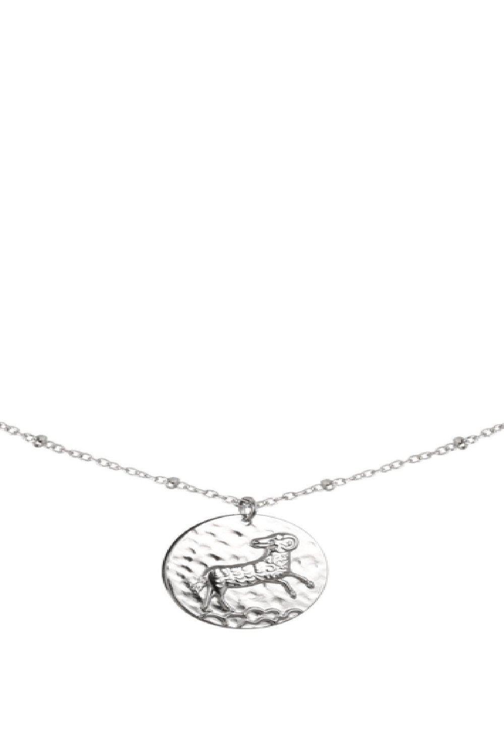 Ketting Constellation - Ram Zilver Stainless Steel Afbeelding3