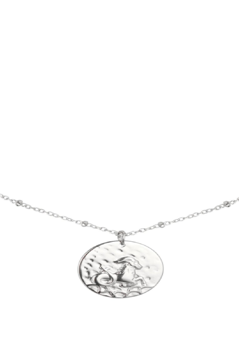 Ketting Constellation - Steenbok Zilver Stainless Steel Afbeelding2
