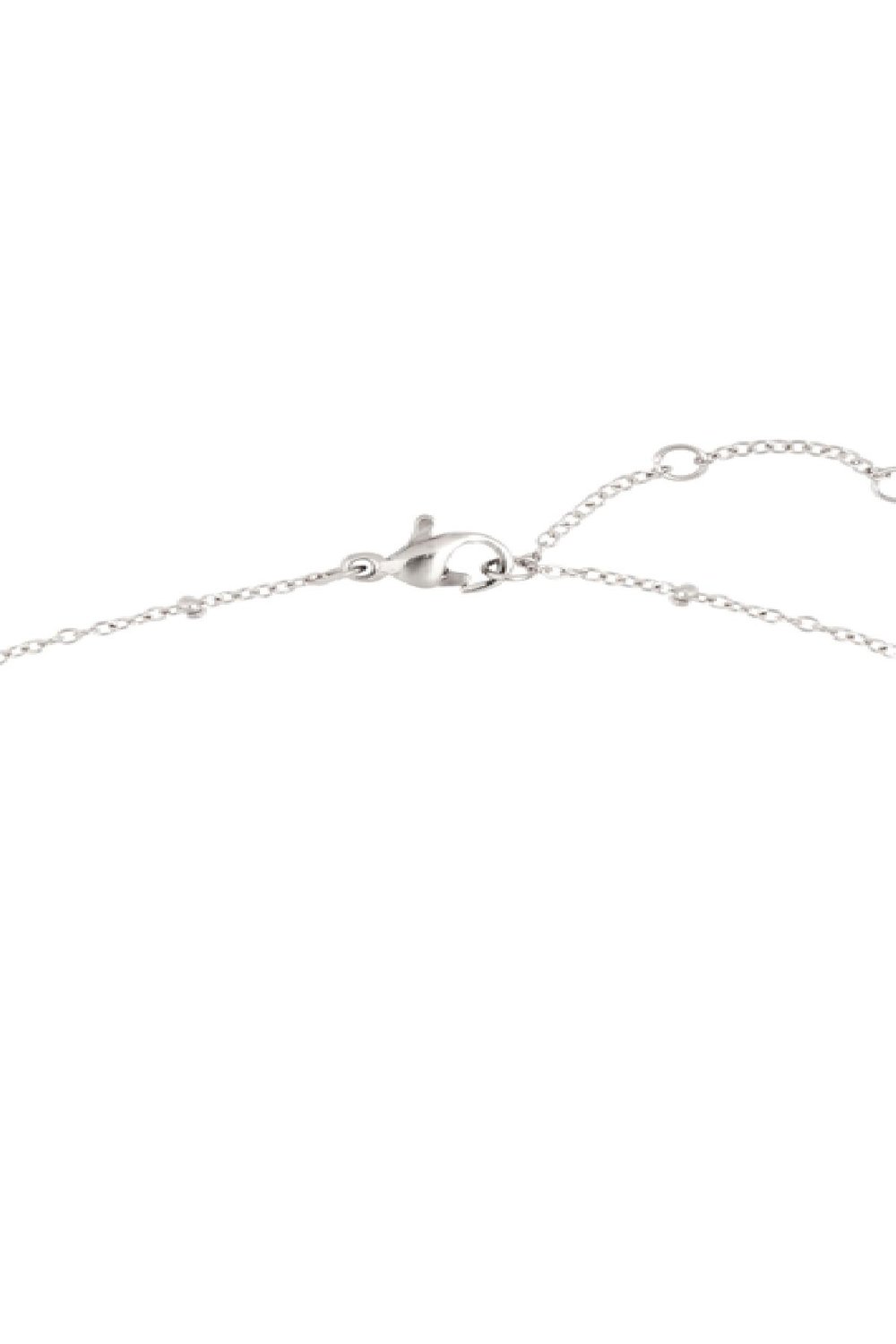 Ketting Constellation - Steenbok Zilver Stainless Steel Afbeelding3