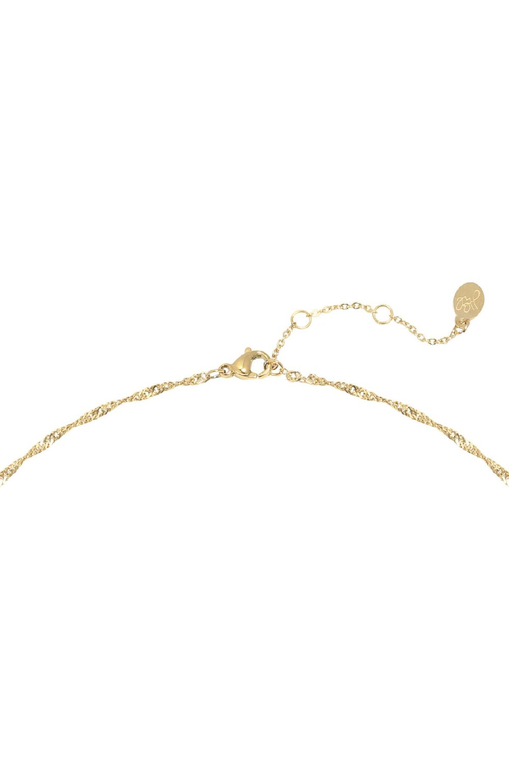 Ketting Snake  Goud kleur Stainless Steel Afbeelding2