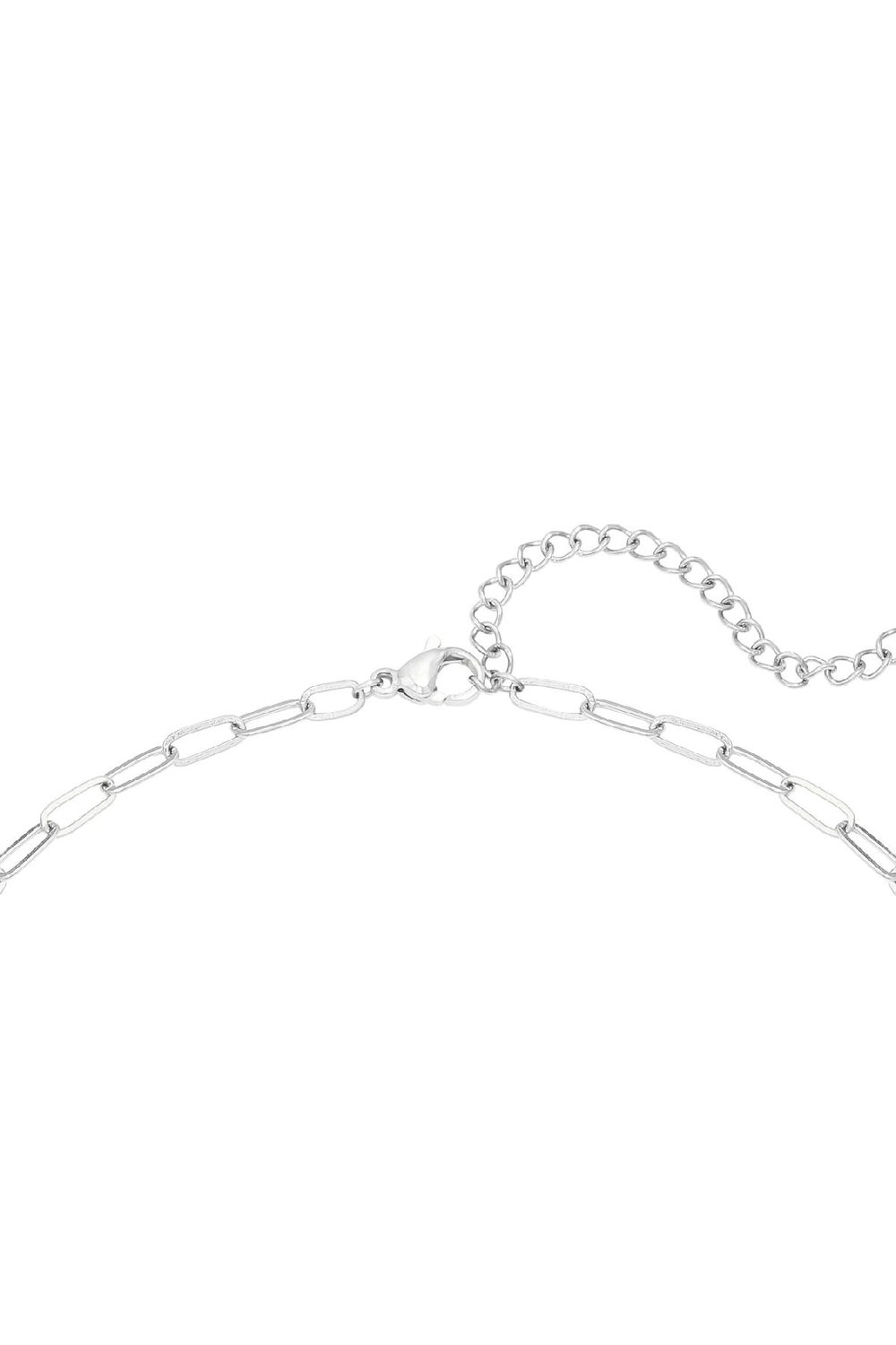 Ketting Little Lock Zilver Stainless Steel Afbeelding3