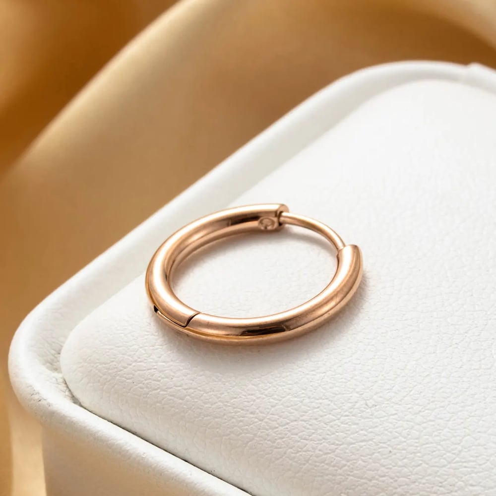 1 Piece Simple Series Simple Geometric Titanium Steel No Plating Material Women Stud Earrings