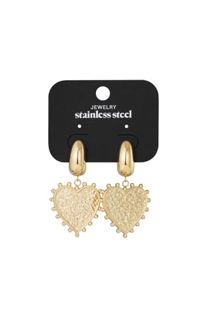 Les boucles d'oreilles tendance Big Love h5 Image4