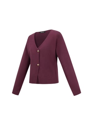 Viscose Knitted Women's Cardigan Casual Solid Color Fall/Winter h5 Picture2