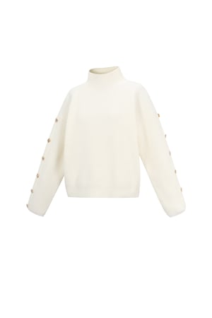 Knitted Polyester Fiber Women's Turtleneck Sweater Casual Solid Color h5 Picture2