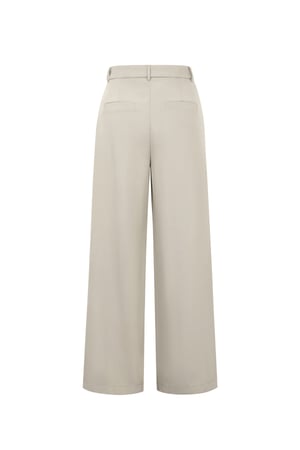 Woven Polyester Fiber Women's Straight Leg Pants Casual Fall/Winter h5 Picture3