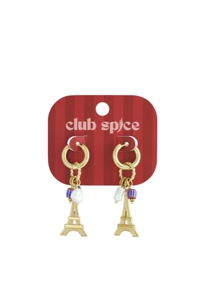 Paris Happy Charm oorbellen h5 Afbeelding4