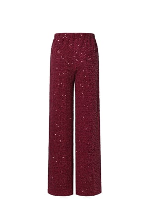 Geweven Polyestervezel Vrouwen Rechte Broeken Elegante Pailletten h5 Afbeelding3