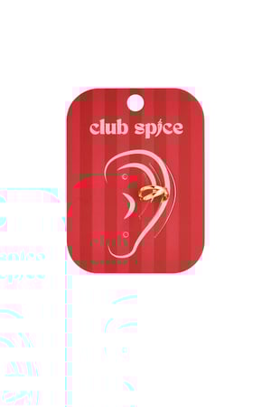 Orecchini a cerchio in acciaio inossidabile, linea Simple Daily Simple Series, gioielli da donna h5 Immagine4