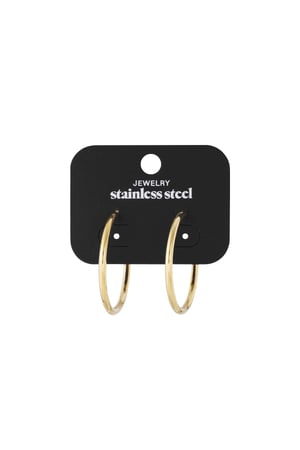 Basic Hoop earrings M h5 Afbeelding4