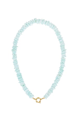 Seashell Necklace h5 Picture4