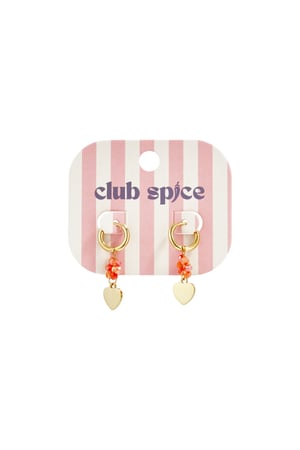 Stainless Steel Drop Earrings Flower Casual Daily Simple Series Women's jewelry h5 Picture4