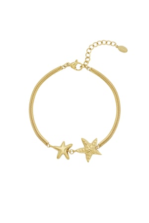 Double star Bracelet h5 