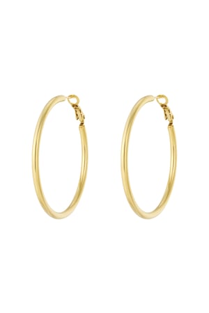 Basis Hoop earrings L h5 