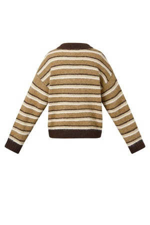 Gebreide Polyestervezel Vrouwen Trui Casual Strepen h5 Afbeelding3