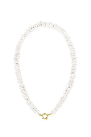 Seashell Necklace h5