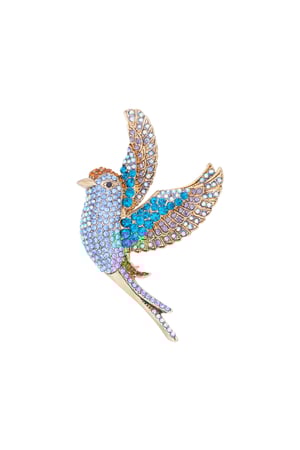 Colorful wings brooch h5 