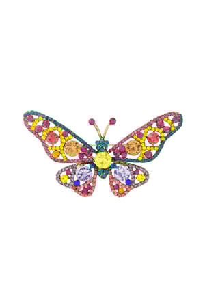 Butterfly Brooch - Multi h5 