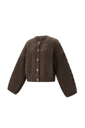 Gebreide Polyestervezel Vrouwen Cardigan Herfst/Winter Elegante Solide Kleur h5 Afbeelding2