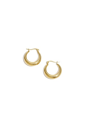 Arched Stainless Steel Earrings h5 