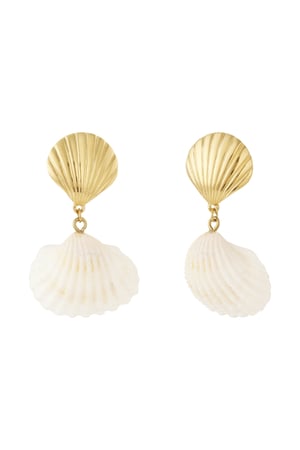 Shell and sea Earring h5 
