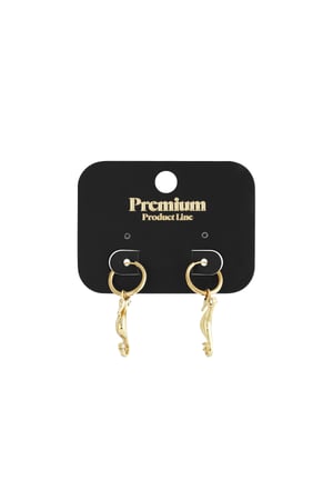 Drop Earrings Turtle Casual Daily Simple Series Women's jewelry h5 Picture3