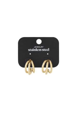 Stainless Steel Hoop Earrings Geometric Daily Daily h5 Picture4