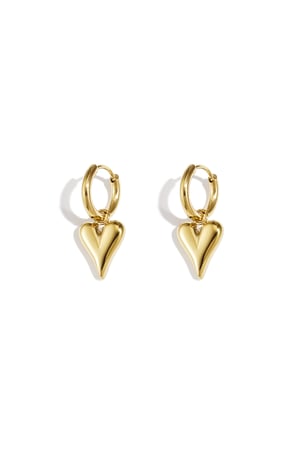 stainless steel heart shaped earrings h5 