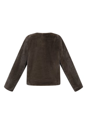 Woven Polyester Fiber Women's Jacket Elegant Solid Color Fall/Winter h5 Picture3