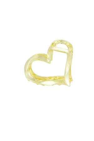 Hairclip sweetheart h5