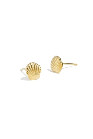 shell stud earrings h5 