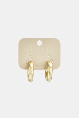 Stainless Steel Hoop Earrings circle Casual Daily Simple Series Women's jewelry h5 Picture3