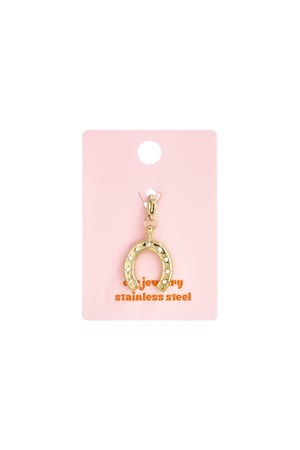 Sieraden bedel hoefijzer met steentjes DIY h5 Afbeelding3
