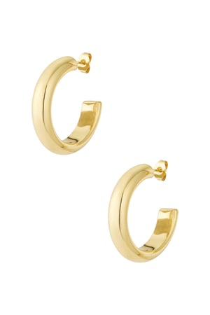 Thick hoop earrings h5 
