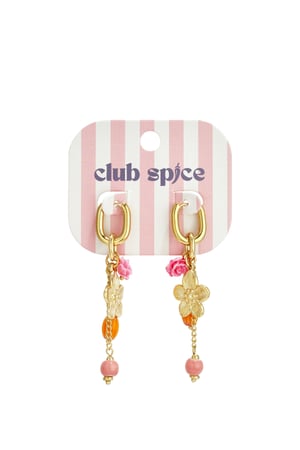 Stainless Steel Dangle Earrings Flower Casual Daily Romantic Series Women's jewelry h5 Picture6