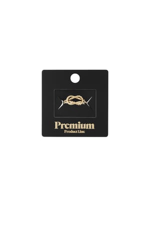 anneau lié h5 Image2