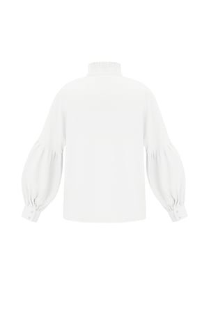 Viscose Women's Blouse Puff Sleeve High Neck h5 Picture8