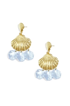 Earrings with shells and mother of pearl h5 