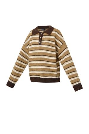 Gebreide Polyestervezel Vrouwen Trui Casual Strepen h5 Afbeelding2