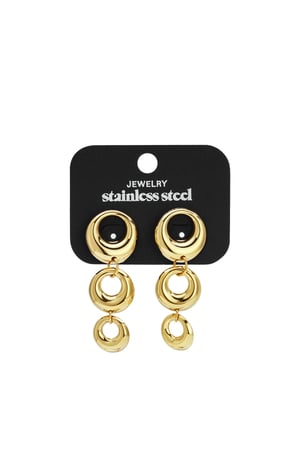 Stainless Steel Dangle Earrings circle Casual Daily Simple Series Women's jewelry h5 Picture5