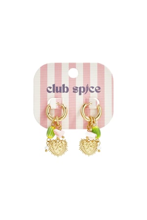 Stainless Steel Drop Earrings Heart Casual Daily Simple Series Women's jewelry h5 Picture5