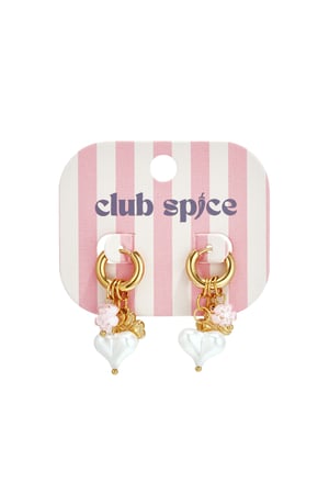 Stainless Steel Drop Earrings Heart Casual Valentine's Day Romantic Series Women's jewelry h5 Picture4