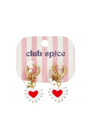 Stainless Steel Drop Earrings Heart Casual Valentine's Day Romantic Series Women's jewelry h5 Picture4