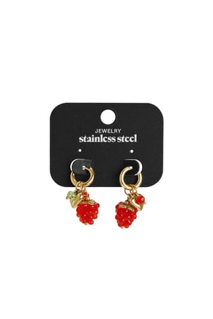 Stainless Steel Drop Earrings fruit Daily Daily Simple Series Women's jewelry h5 Picture4