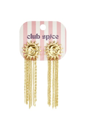 Stainless Steel Dangle Earrings sun Casual Daily Simple Series Women's jewelry h5 Picture6