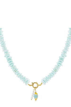 Seashell Necklace h5 Picture6