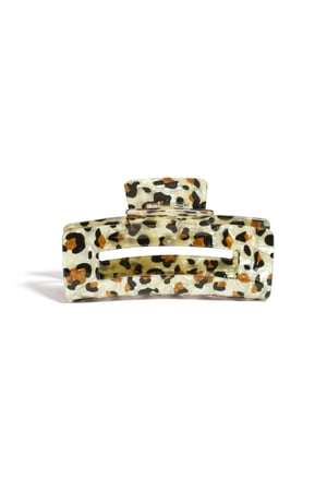 Hair Clips Leopard Print Casual Acrylic Daily Accessories h5 Picture3
