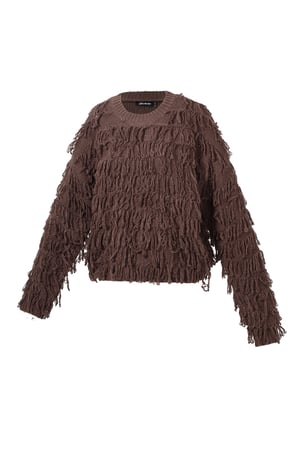 Knitted Acrylic Women's Cropped Sweater Fringe Detail h5 Picture2