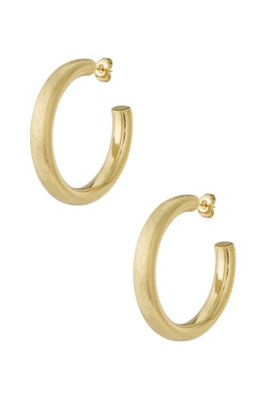   Hoop Earrings irregular shape Casual Daily Simple Series Women's jewelry h5 